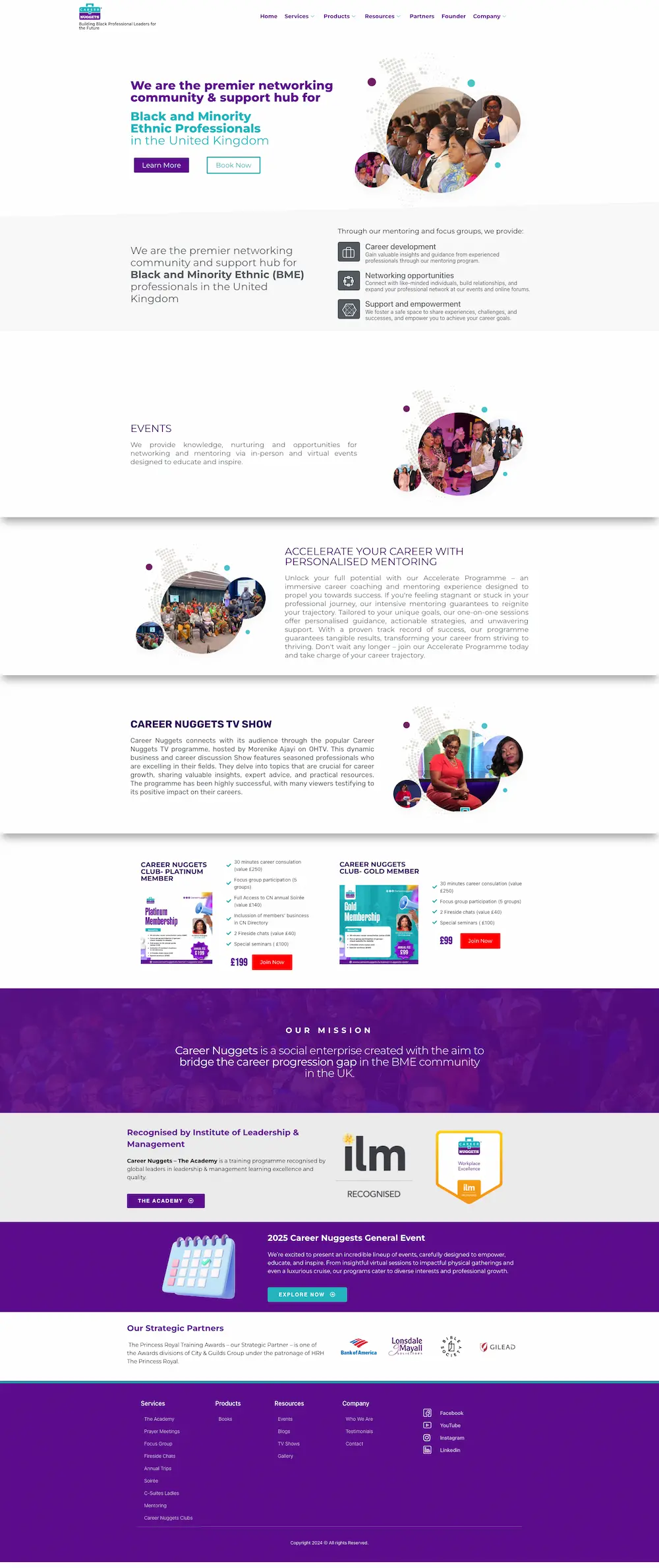 Full-page preview of the Career Nuggets website