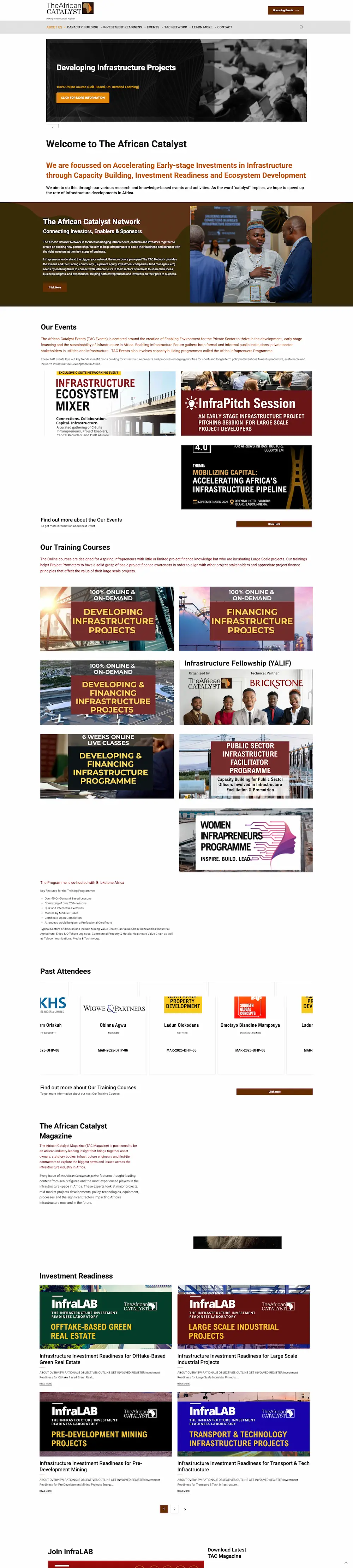 Full-page preview of the The African Catalyst website
